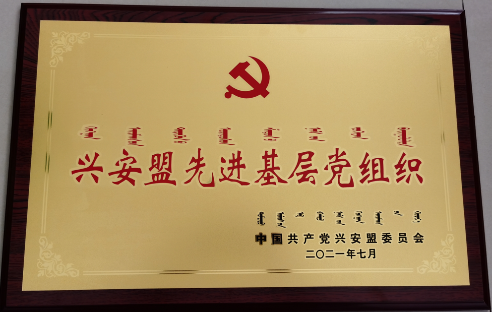 图片31.png